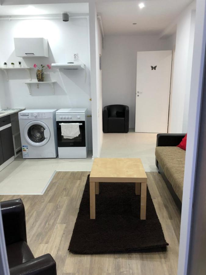 Dora High Life - North Appartement Stefanestii de Jos Buitenkant foto